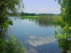 Ollies Pond Park in Port Charlotte