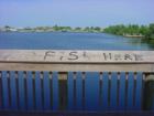 Spring Lake Park