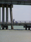 Fishing under the Marco SS Jolley Bridge is a popular past time.