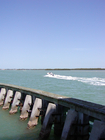 View from under the Marco Island Bridge.