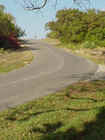 Ar116812315278156_l