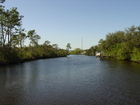 Rivers, Mangroves and Estuaries.