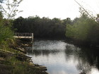 Estero River, Lee County, Jan 2007 LN 