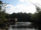Estero River, Lee County,Jan 2007 Ln