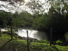 Estero River, Lee County jan 2007 Ln