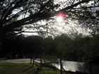 Estero River Lee County, 4:30 pm Jan 2007,
      LN
