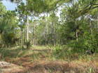 Ar116788388587818_l