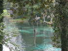 Rainbow Springs State Park in Dunnellon, Florida