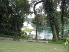 Rainbow Springs State Park in Dunnellon, Florida.  2006