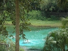 Rainbow Springs State Park, Dunnellon, FL 2006