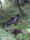 Rainbow Springs State Park, Dunnellon - 2006
