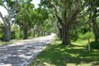 Hobe Sound - Bridge Road in route to the Park