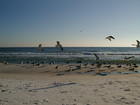 Gulf of Mexico Fort Walton Beach Florida