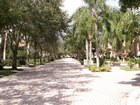 Looking down the main road in Villa d'Este in PGA National.