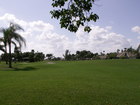 Another beautiful Golf Course in Palm Beach Gardens and I'm stuck in the rough, AGAIN.