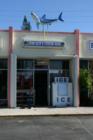 Juno Bait and Custom Rods - Contact Jim Wheeler - Owner - about fishing in Juno Beach and the surrounding area.