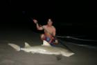 Shark Fishing - Juno Beach has some of Florida's best fishing from the beach!