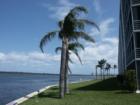 North Palm Beach, palm tree and Intracoastal Waterway