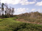 Wetlands on the South West border of PGA National.