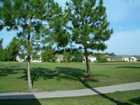 Golf Course in Lexingtonn Oaks, Wesley Chapel, FL, 33544