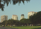 Condos now line the downtown parks in St. Petersburg. The condos look over the park to wonderful views of yacht basins and Tampa Bay.