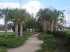 The Home Owners Association fee is $229.00 per year and maintains common areas.