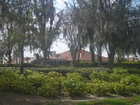 Solivita through the trees. Hey it's gaurded entry folks. I had to be stealth.