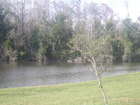 One of the many lakes and ponds in Poinciana. 