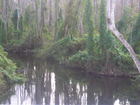 What else can I say? This is what Central Florida looks like when you are not at Disney.