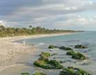 Venice Florida. Casperson Beach. 
      