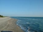 This is Venice Beach in Florida, on the Gulf Coast just about 20 miles south of Sarasota. 
      
