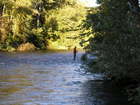 early fall flyfishing in the Boise River