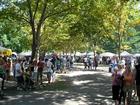 Art in the Park every summer