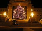 Christmas Tree on the Capitol steps