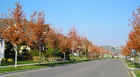fall street view in Hidden Springs near Boise
