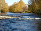 late fall fishing in the Boise River