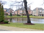 Maybe your Bloomingdale housing preference is in the Papa Bear size.