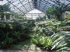 Garfield Park Conservatory
      300 North Central Park Ave.
      Just ten minutes from downtown Chicago!
      