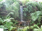 Garfield Park Conservatory
      
      