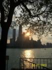 Chicago skyline at sunset