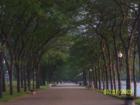 Let's take a walk....