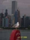 Chicago at dusk