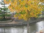 Napervilles Riverwalk extends through the downtown area and beyond creating a unique experience. A nice chance to enjoy a walk after some fine dining in the bountiful selection of restaurants that downtown has to offer.