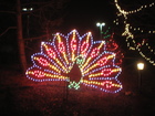 Photo at Indianapolis Zoo during Christmas 2006