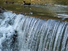 The Falls at Pendleton Park in Pendleton, Indiana.  If you are interested in buying or selling a home in the Indianapolis Area, please visit http://cyndisloop4indyhomes.com
