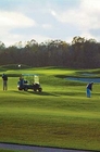 Golfing in Porter County - Aberdeen, Brassie, Sand Creek, Valpo Country Club, Forest Park