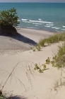 More Indiana Dunes - A natural wonder
