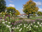 Beautiful Noelridge Park in the fall
