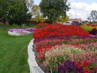 Beautiful Noelridge Park in Northeast Cedar Rapids.
