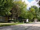 Tree-lined neighborhoods in Northeast Cedar Rapids, Iowa